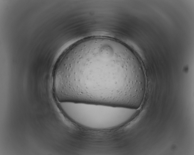 X0000093411125200710120910