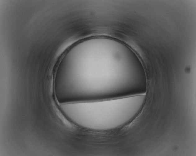 X0000093411127200710120911