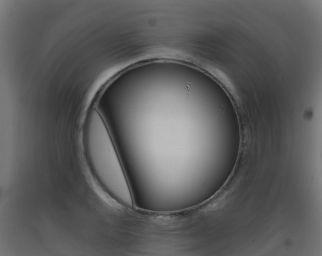 X0000093411128200710120911
