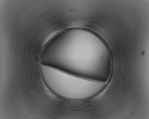 X0000093411129200710120911