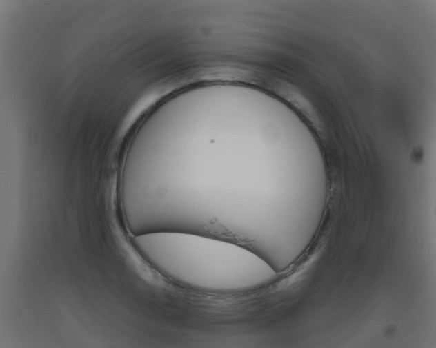 X0000093411130200710120911