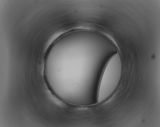 X0000093411131200710120911