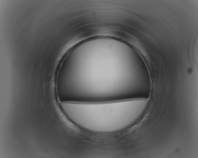 X0000093411133200710120911
