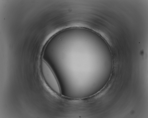 X0000093411134200710120911
