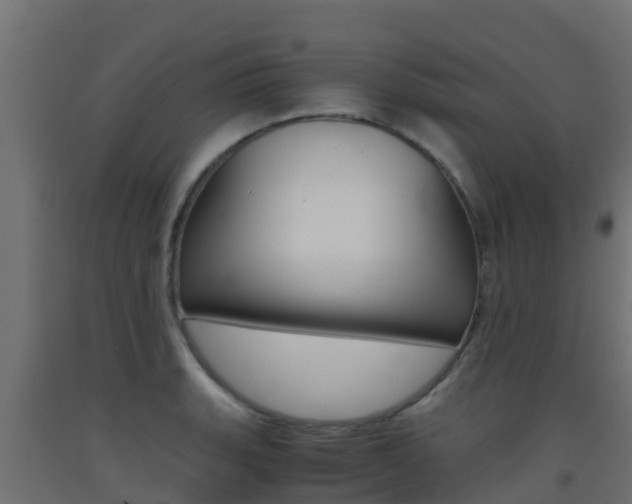 X0000093411135200710120911