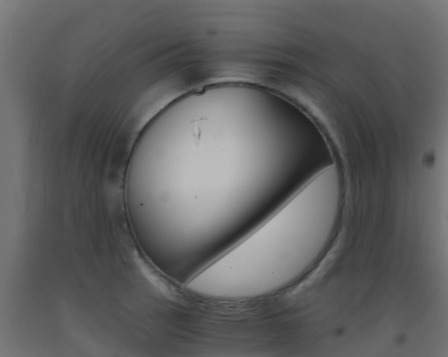X0000093411137200710120911