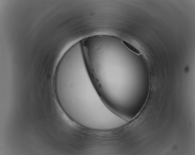 X0000093411140200710120911