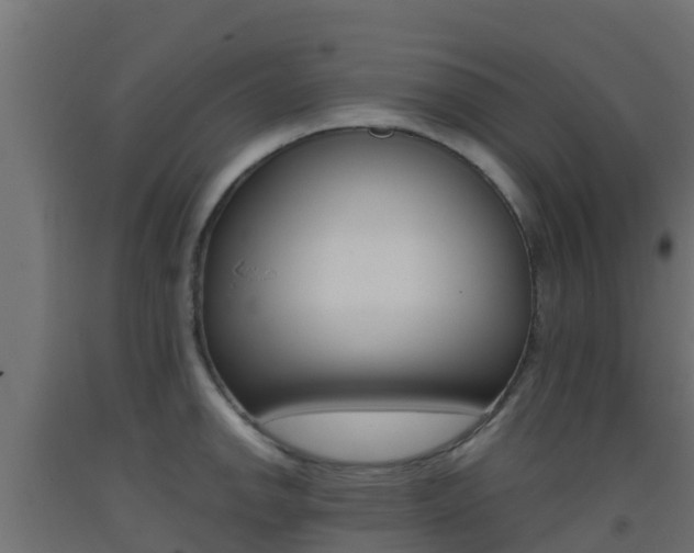X0000093411142200710120911