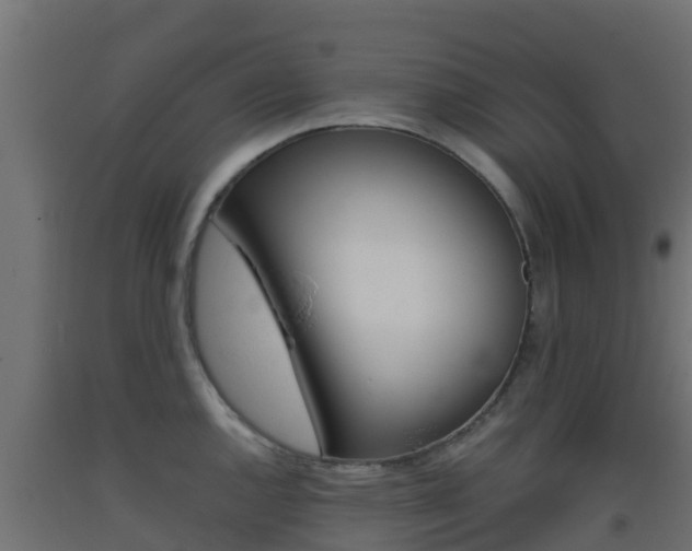 X0000093411144200710120911