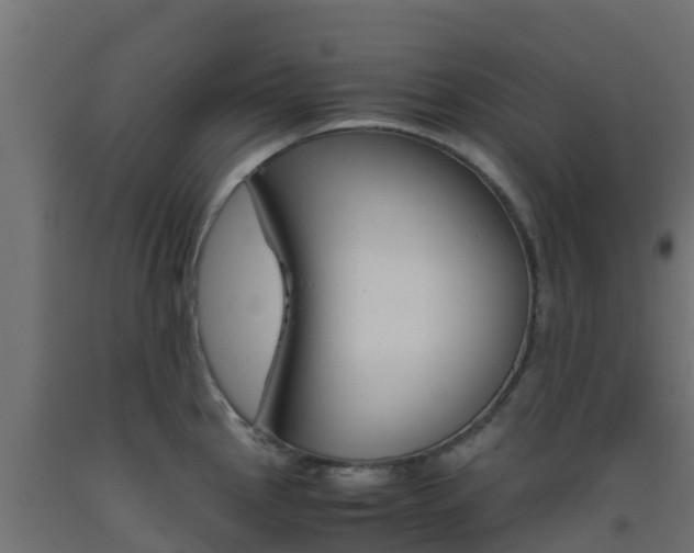 X0000093411145200710120911