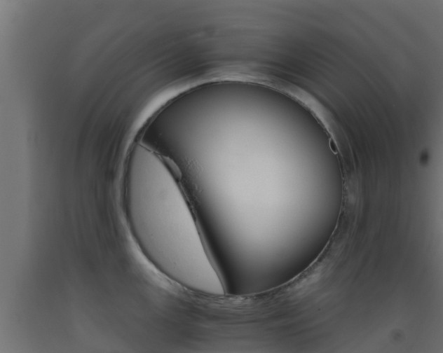 X0000093411147200710120911