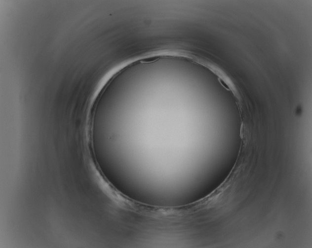 X0000093411148200710120911