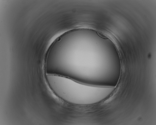 X0000093411149200710120911
