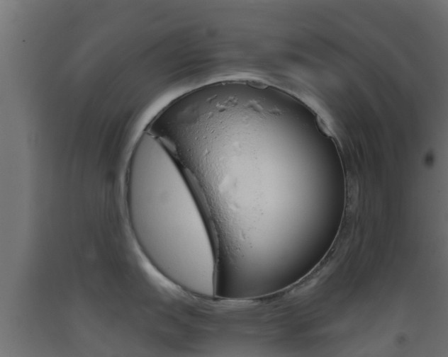 X0000093411151200710120911