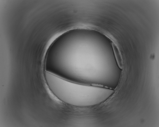 X0000093411152200710120911