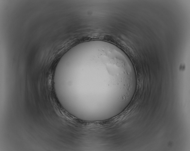 X0000093411154200710120910