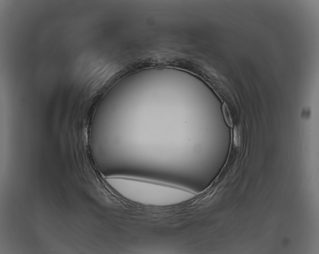 X0000093411155200710120910