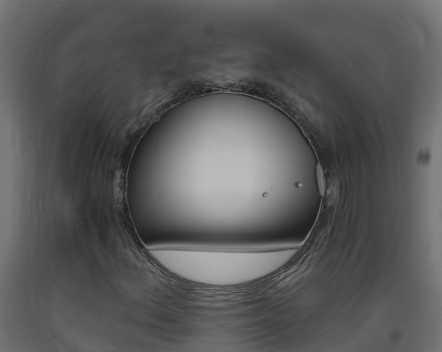 X0000093411156200710120910