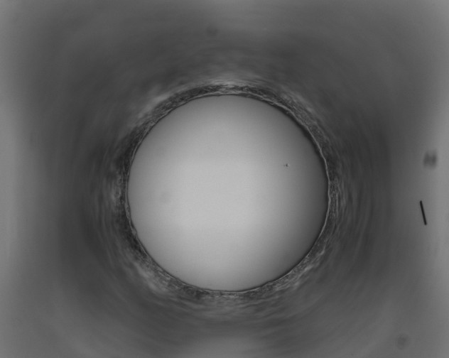 X0000093411158200710120910