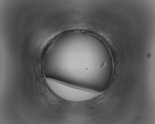 X0000093411159200710120910