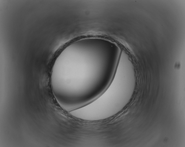 X0000093411160200710120910