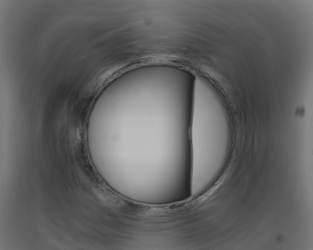X0000093411161200710120910