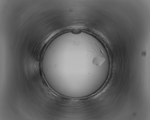 X0000093411162200710120910