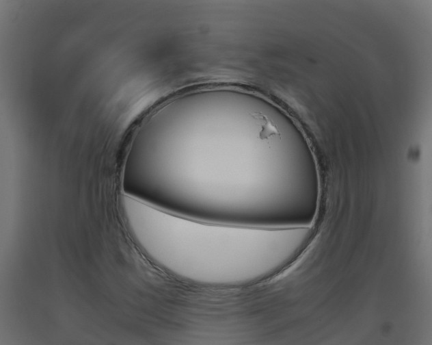 X0000093411163200710120910
