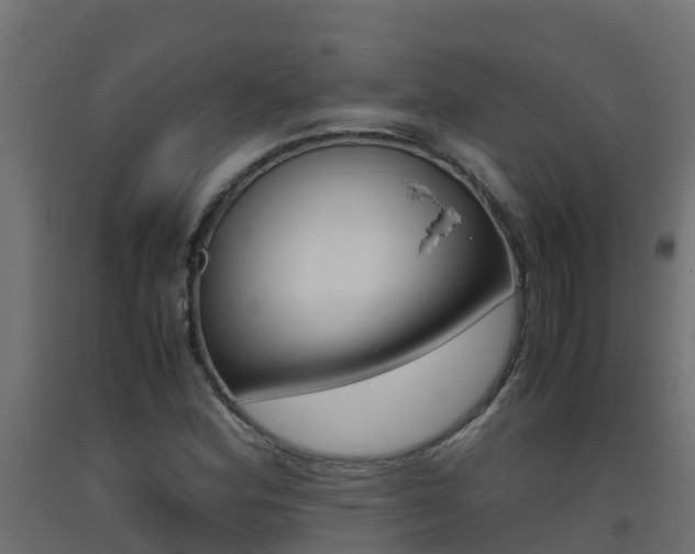 X0000093411164200710120910
