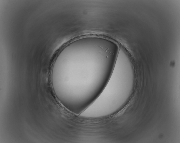 X0000093411165200710120910
