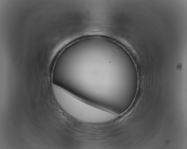X0000093411167200710120910