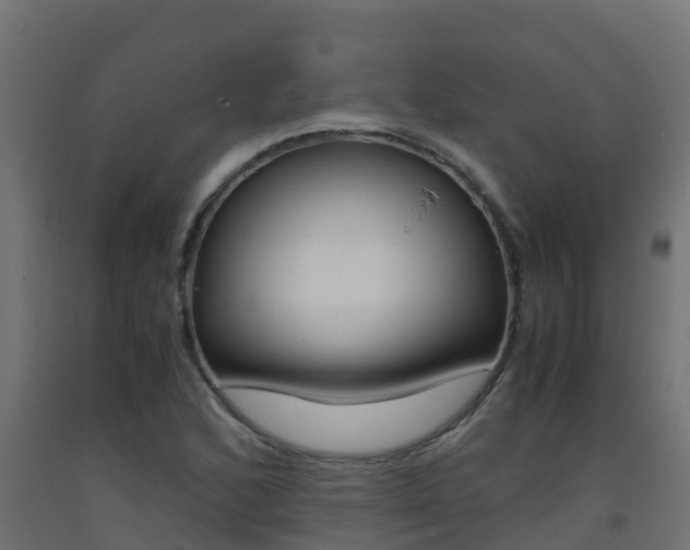 X0000093411168200710120910