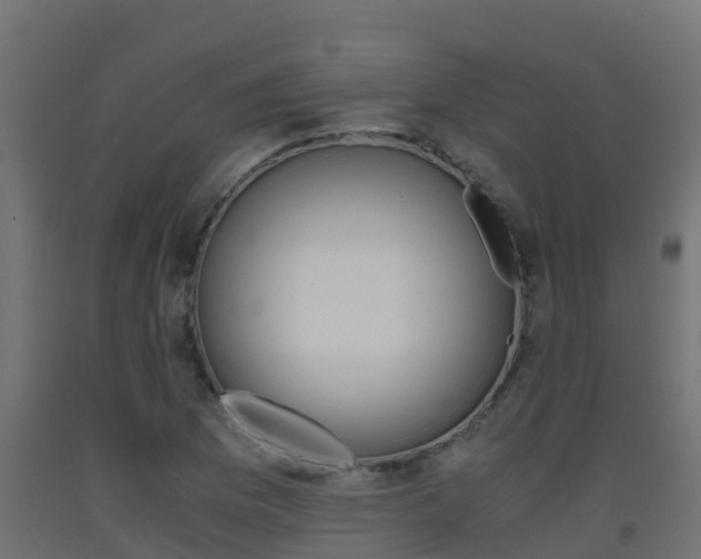 X0000093411169200710120910