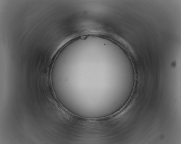 X0000093411170200710120910