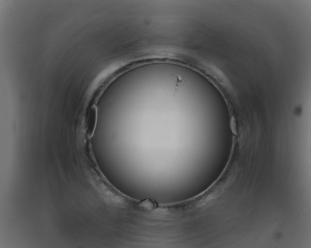X0000093411172200710120910