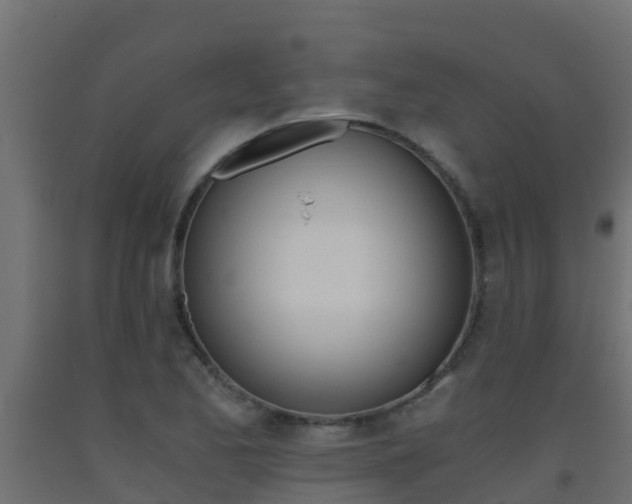 X0000093411173200710120910