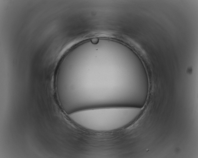 X0000093411174200710120910
