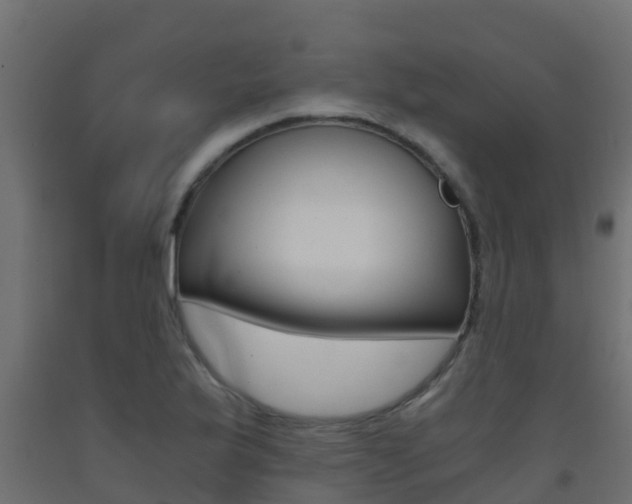 X0000093411175200710120910