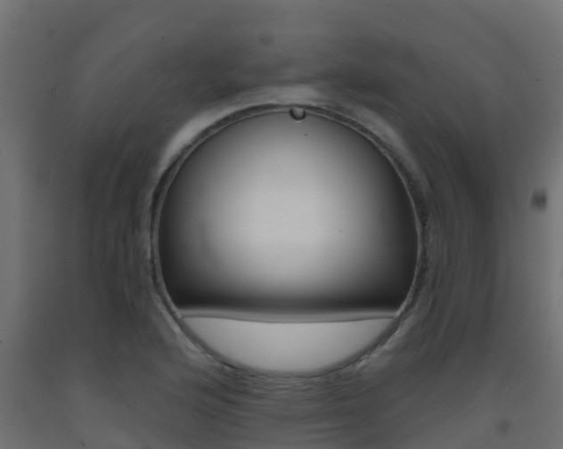 X0000093411176200710120910