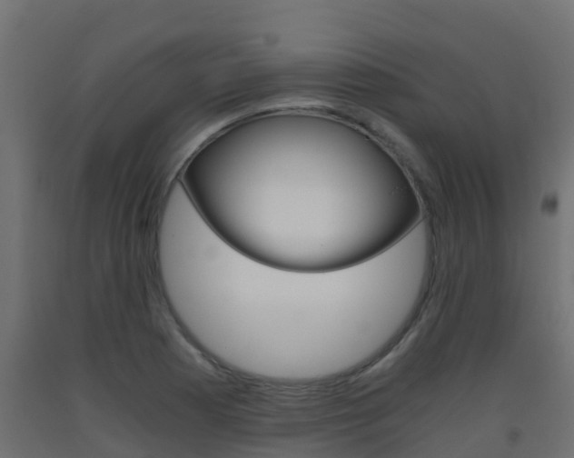 X0000093411177200710120910