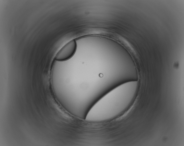 X0000093411178200710120910