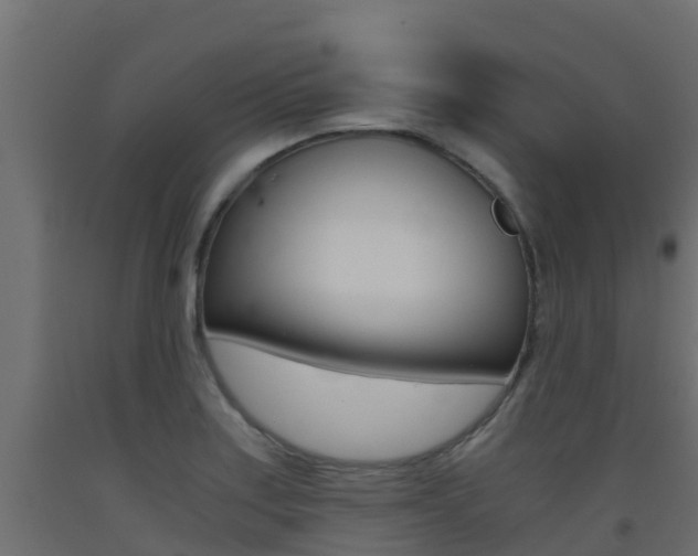 X0000093411179200710120910