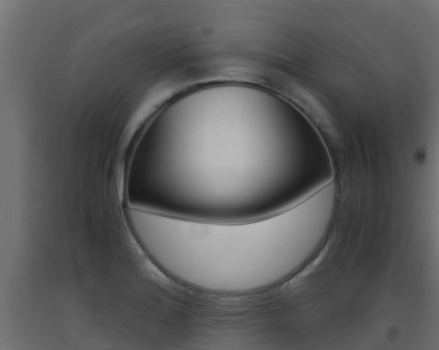 X0000093411180200710120910