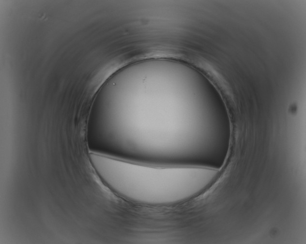 X0000093411185200710120910