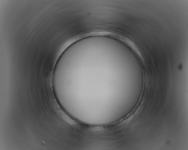 X0000093411186200710120910