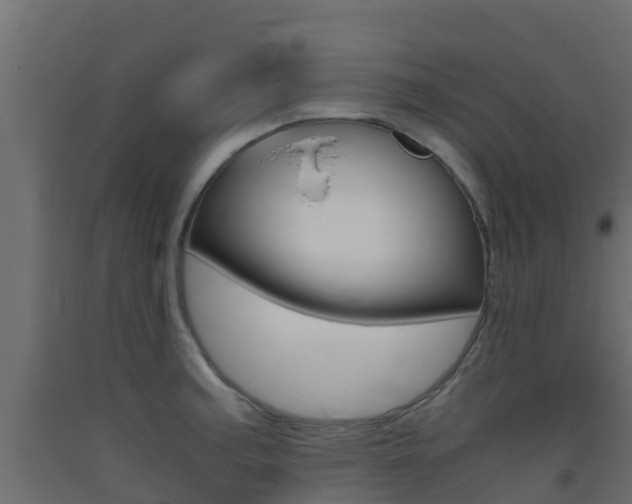 X0000093411187200710120910