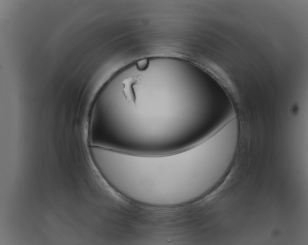 X0000093411188200710120910