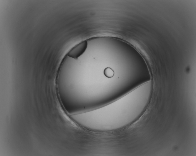X0000093411189200710120910