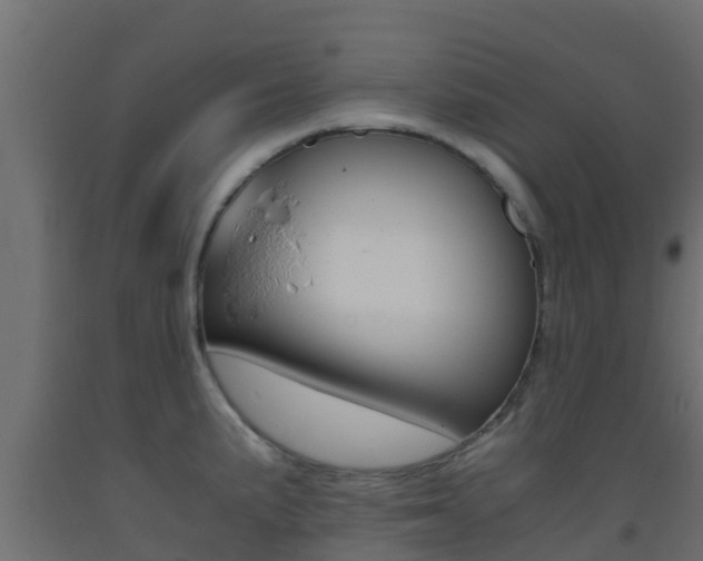X0000093411191200710120910