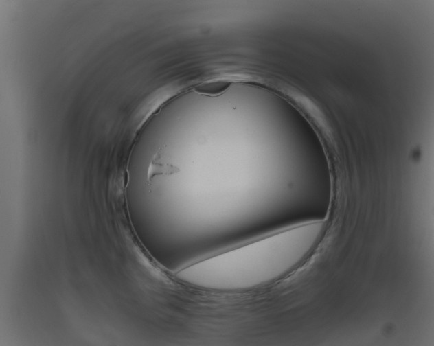 X0000093411193200710120910